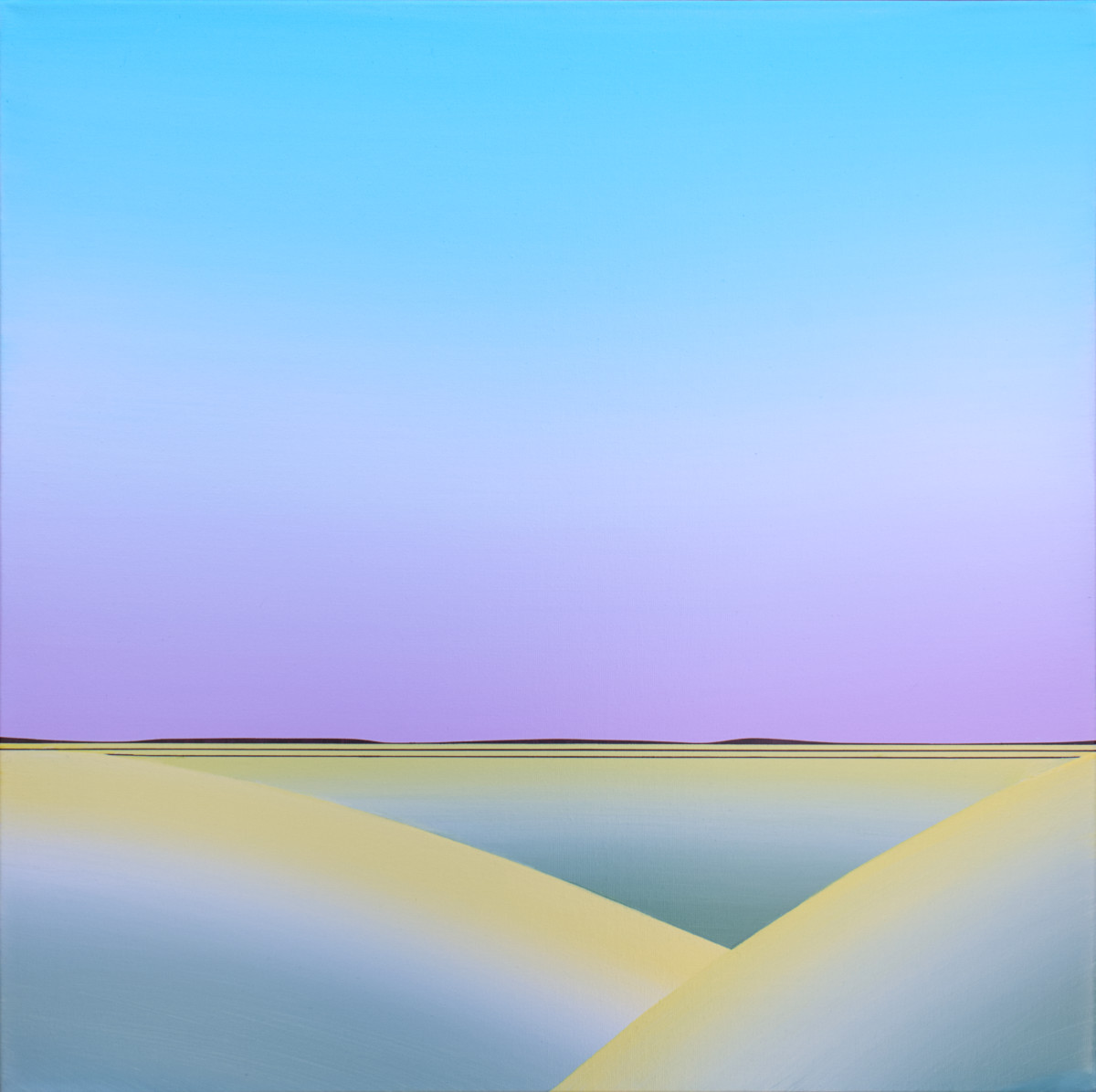 Karen Cole’s Shadow in a Prairie